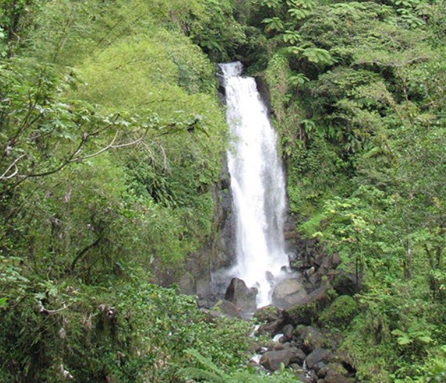 Trafalgar Falls, Roseau Valley, Saint George Parish, Dominica